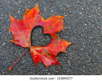 Fall In Love Photo Metaphor. Red Maple Leaf With Heart Shaped Hole Lays On Dark Asphalt Road