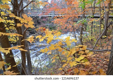 In The Fall Many Of The Trees In The United States Northeast Start Changing Colors Making Beautiful Colorful Sights 