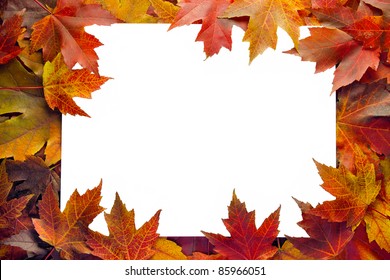 Fall Maple Leaves Border With White Background