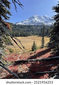Fall meadow beneath Mount Adams.