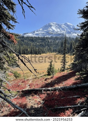 Fall meadow beneath Mount Adams.