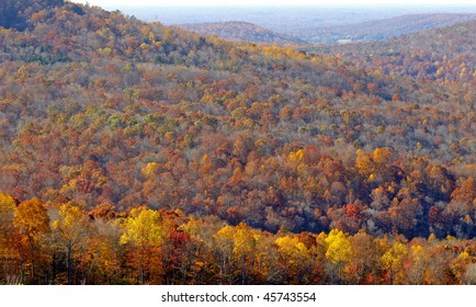 Fall In MIddle Tennessee