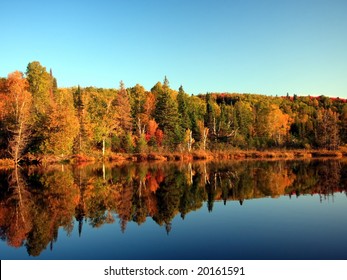 Fall In Minnesota