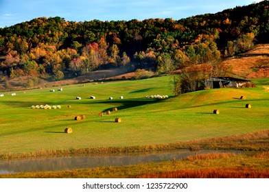 Fall Morning, Braxton County, West Virginia, USA