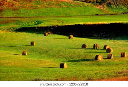 Fall Morning, Hay Bales, Braxton County, West Virginia, USA