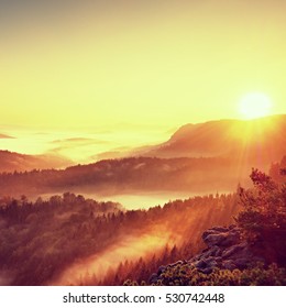 Fall morning mist. The sandstone cliff above treetops of forest valley, daybreak Sun at horizon. Hills increased from foggy background - Shutterstock ID 530742448