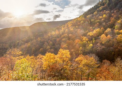 Fall In New England, Vibrant Autumnal Colors In Maine