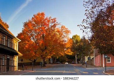 Fall In Old Salem