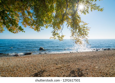 Fall on a beach in Sassnitz at the Island of Rügen in Germany