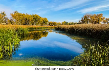 Fall On An Eastern Colorado Pond.