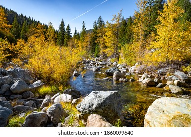 Fall On The North Yuba River