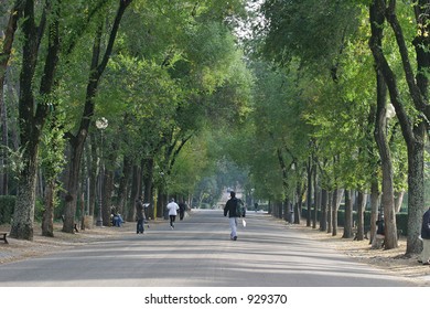 a fall in the park in Rome.