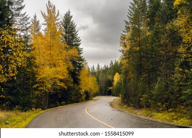 Fall Pathway To Sutherland Falls