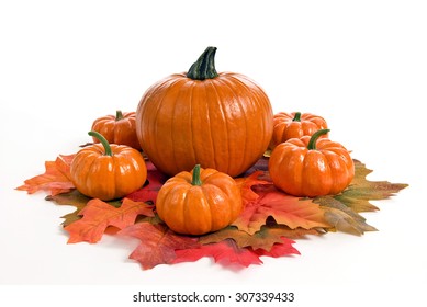 Fall Pumpkin Centerpiece With Autumn Leaves On White Background/ Pretty Pumpkin Centerpiece