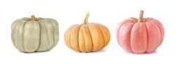 Fall Pumpkins Isolated On A White Background. Assortment Of Green, Orange And Pink Heirloom Pumpkins. Blue Doll, Autumn Frost And Porcelain Doll Varieties.