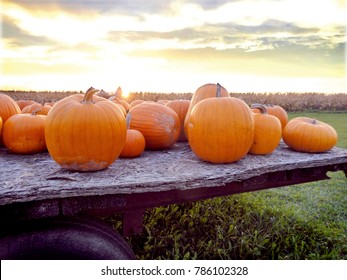 Fall Pumpkins On A Hayride