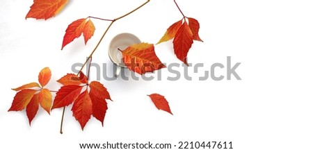 Fall red leaves with white coffee cup isolated on white background. Top view for seasonal concept.