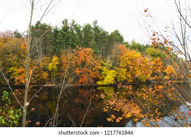 Fall reflection of forest trees in Rhode Island