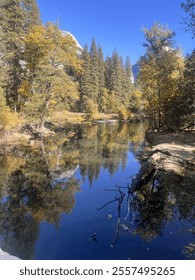 Fall reflection in the pond
