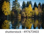 Fall reflections