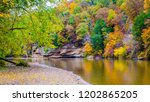 Fall reflections on the river