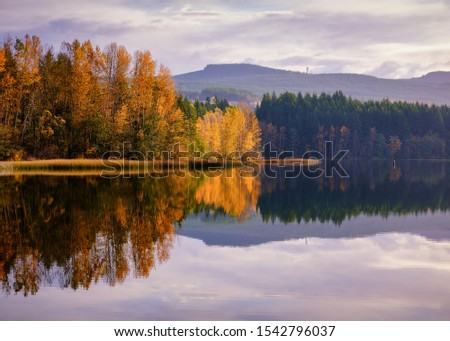 Fall Reflections in the Pacific Northwest