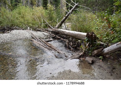 Fall Riverbed Reflection