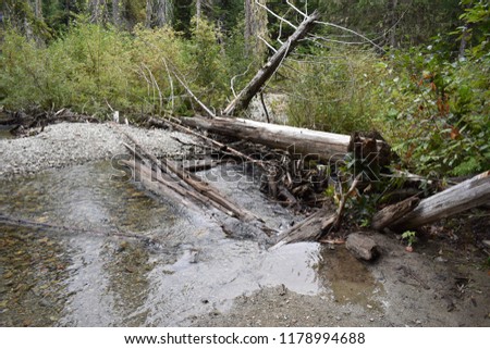 Fall Riverbed Reflection Stock photo © 