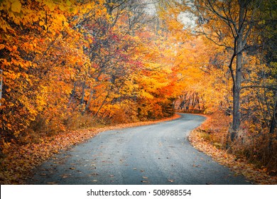 Fall Road