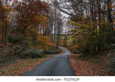 Fall In Rural Albemarle County, Virginia