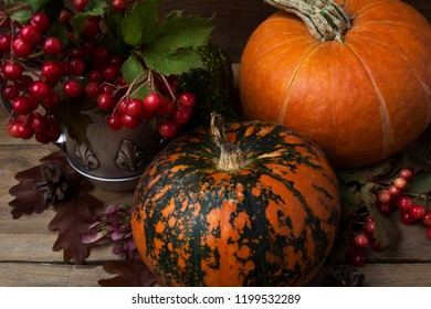 Fall rustic abundance cornucopia decor with red viburnum berry in the antique silver kettle, pine cones, oak leaves and two orange pumpkins