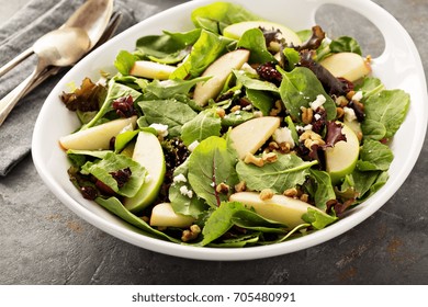 Fall Salad With Spring Mix, Apple, Nuts And Cranberry