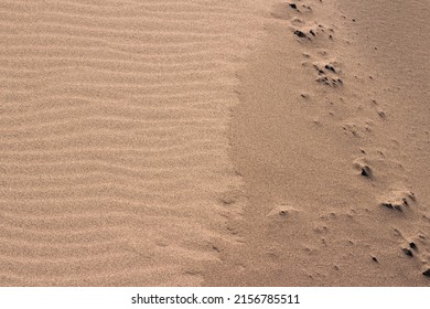 The fall of the Sarykum dune, the texture is difficult for every jiva to understand, but using it, you will never regret your choice