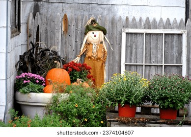 Fall Scarecrow with Multiple Decorations