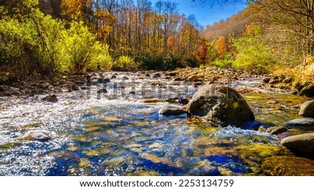 Fall scene by a creek in Pisgah National Forest in North Carolina