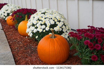      Fall Scene In A Garden Decorated With Mums And Pumpkins