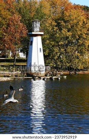 Fall scene. Pond. Lighthouse. Canada geese, seagull, water birds. Flight. Flying. Reflection in water. Autumn color colour. Trees. Changing leaves. Green orange yellow. Beautiful. Beauty in nature.