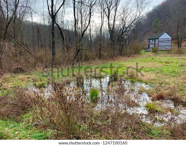 Fall Scene Shows Log Cabin Marshlike Stock Photo Edit Now 1247100160