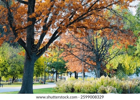 Fall Scene in Smalltown BC