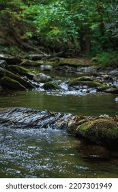 Fall Scene In Stream In Appalachian Mountains, Great Smoky Mountain National Park