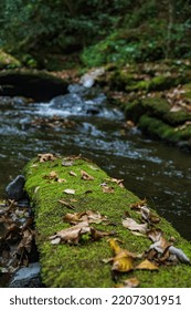 Fall Scene In Stream In Appalachian Mountains, Great Smoky Mountain National Park