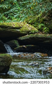 Fall Scene In Stream In Appalachian Mountains, Great Smoky Mountain National Park