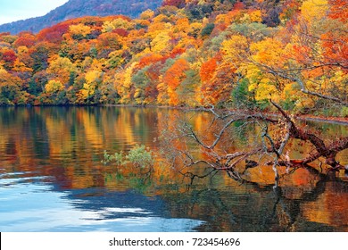 Fall scenery of beautiful Towada Lake (十和田湖) with colorful autumn trees on lakeside mountains reflected in the peaceful water, in Towada Hachimantai National Park (十和田八幡平国立公園), Aomori, Japan