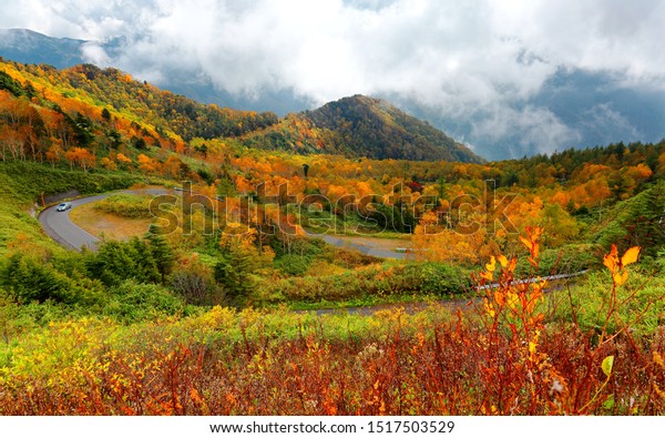 Fall scenery of a car driving on a sharp highway\
curve winding thru colorful forests on the mountainside with foggy\
mountains in background in Shiga Kogen Highlands, a national park\
in Nagano, Japan