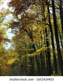 Fall Scenery In Cherokee, NC