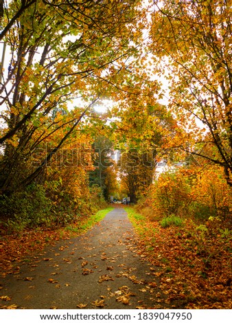 Similar – Trail in a beautiful landscape