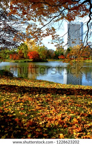 Similar – Image, Stock Photo Autumn is here Environment