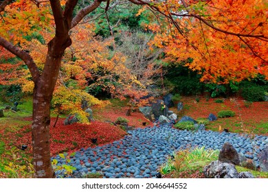 Fall scenery of the Japanese garden (獅子吼の庭) of Hogon-in (宝厳院) Buddhist Temple in Arashiyama (嵐山), Kyoto, Japan, with the Sea of Stones under fiery maple trees and red fallen leaves on the mossy ground