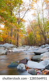 Fall Season In Arlington Virginia 