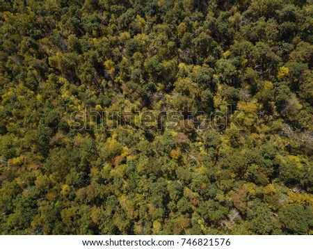 Similar – Foto Bild Der Herbst kommt